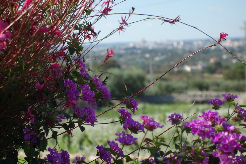 Masseria Serralta ロコロトンド エクステリア 写真